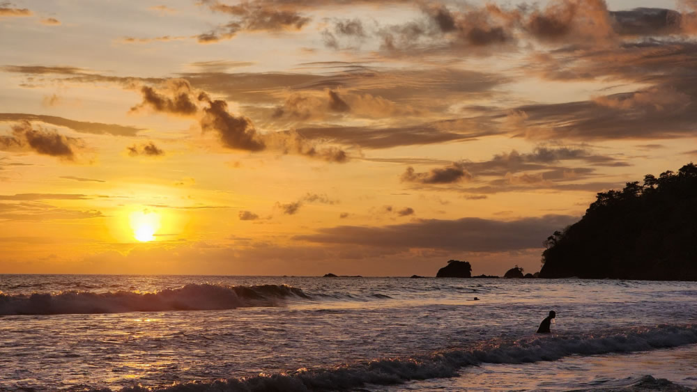 Manuel Antonio National Park Guided Tour